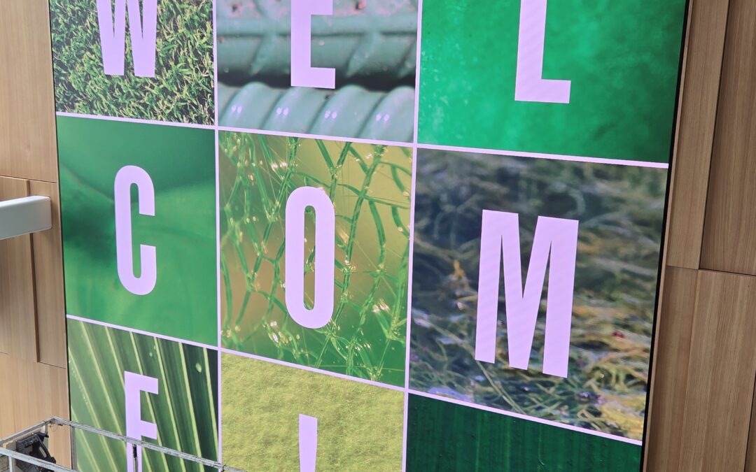 Where Innovation Meets Impact: Fourth Wall’s LED Installation at Olsson 